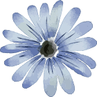 blue flower